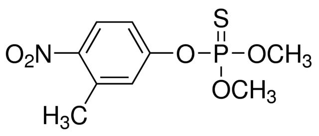 乙腈中殺螟硫磷溶液，100μg/mL